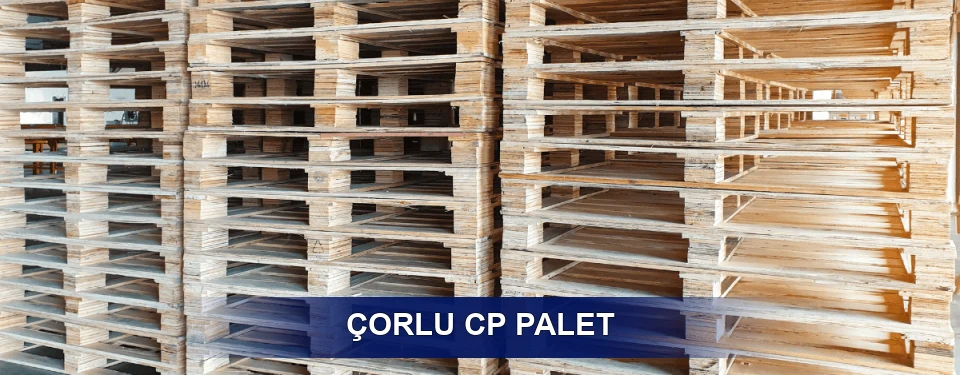 Çorlu Standart Tipler